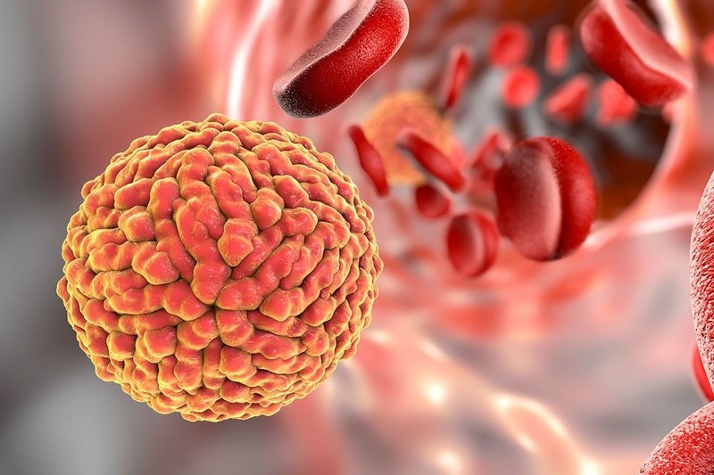 Zika virüsü Türkiye'de (Zika virüsü nedir?) A24