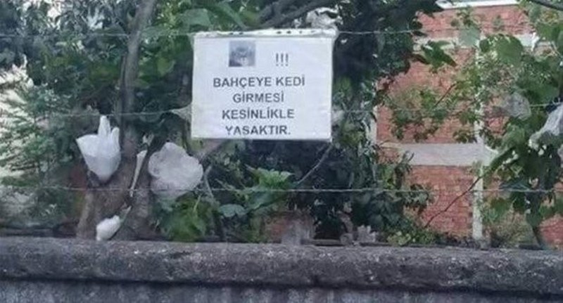 Yurdum insanının güldüren halleri A24