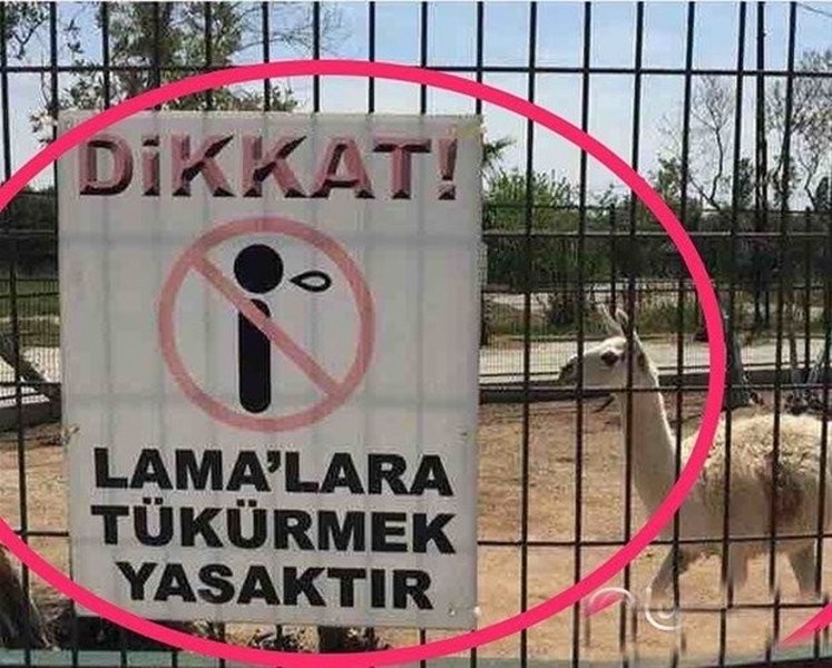 Yurdum insanının güldüren halleri A24