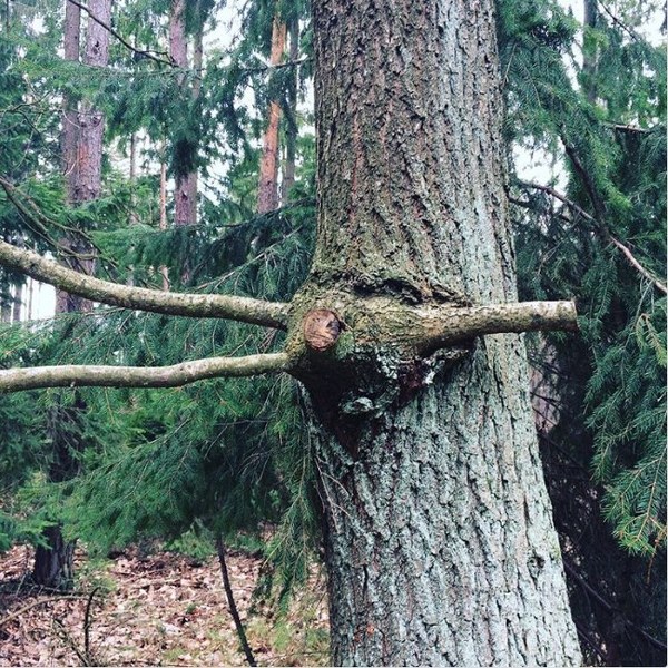 Görenleri bir sürü soruyla baş başa bırakan en garip fotoğraflar A24