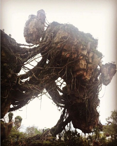 Görenleri bir sürü soruyla baş başa bırakan en garip fotoğraflar A24