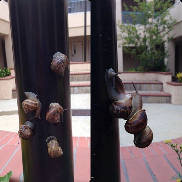 Görenleri bir sürü soruyla baş başa bırakan en garip fotoğraflar A24