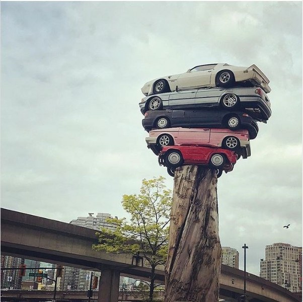 Görenleri bir sürü soruyla baş başa bırakan en garip fotoğraflar A24