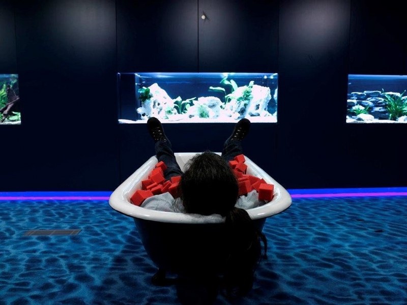 Google'ın en şanslı çalışanları: Zooglers A24