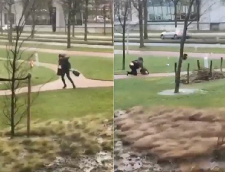 Dünya bu kareye kilitlendi: Uçan inek! A24