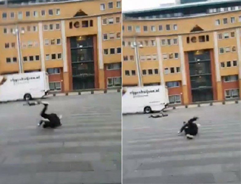 Dünya bu kareye kilitlendi: Uçan inek! A24