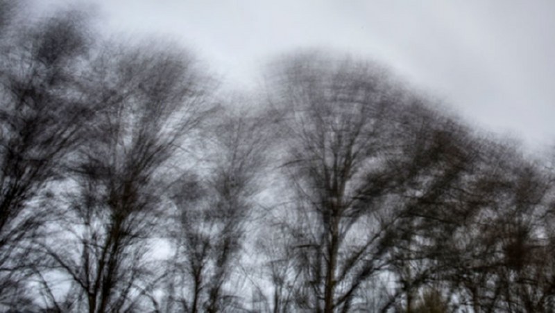 Dünya bu kareye kilitlendi: Uçan inek! A24