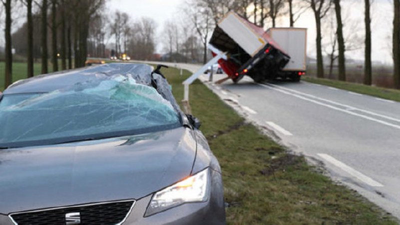Dünya bu kareye kilitlendi: Uçan inek! A24
