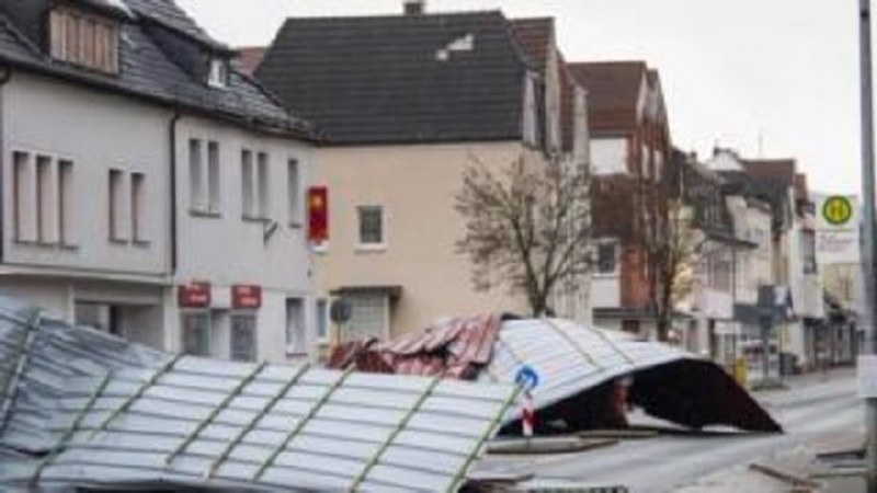 Dünya bu kareye kilitlendi: Uçan inek! A24