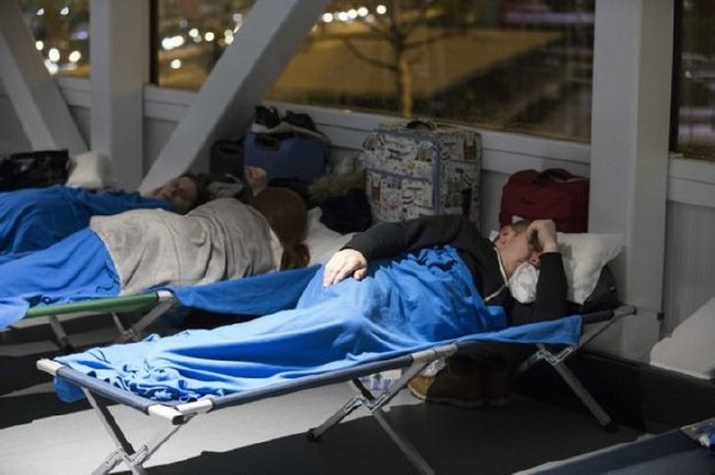 Dünya bu kareye kilitlendi: Uçan inek! A24