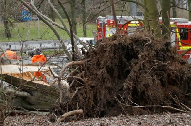 Dünya bu kareye kilitlendi: Uçan inek! A24