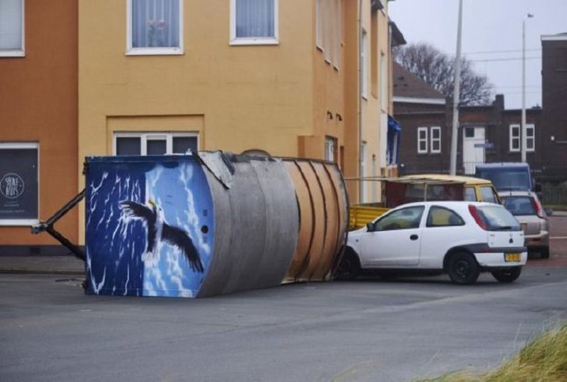 Dünya bu kareye kilitlendi: Uçan inek! A24