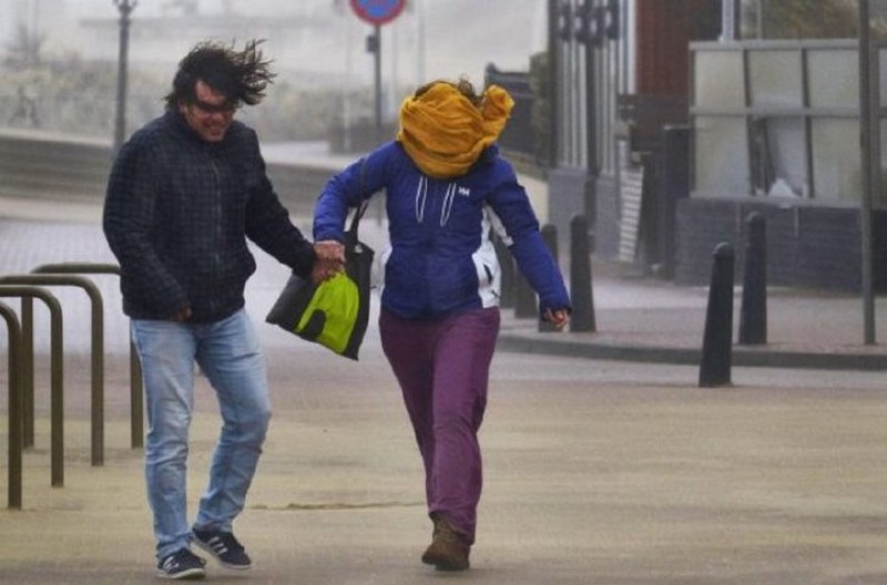 Dünya bu kareye kilitlendi: Uçan inek! A24