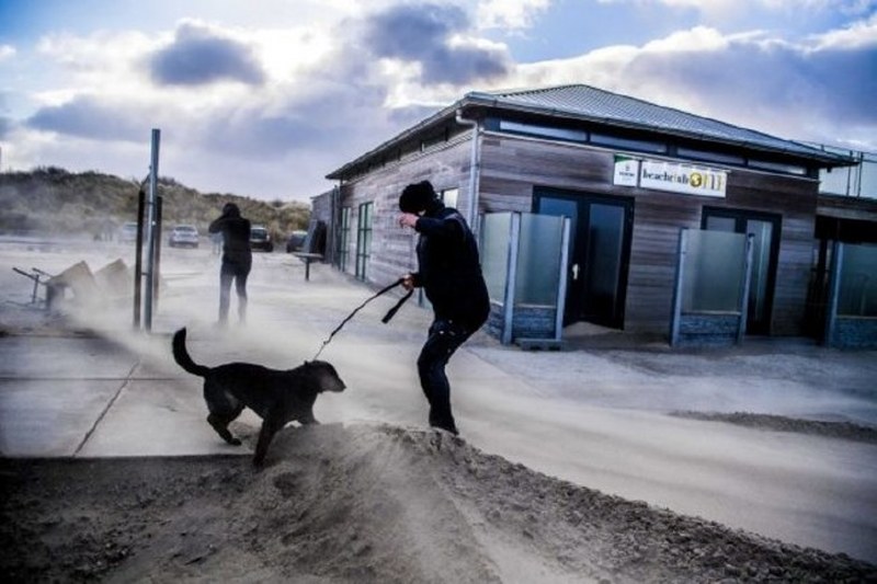 Dünya bu kareye kilitlendi: Uçan inek! A24