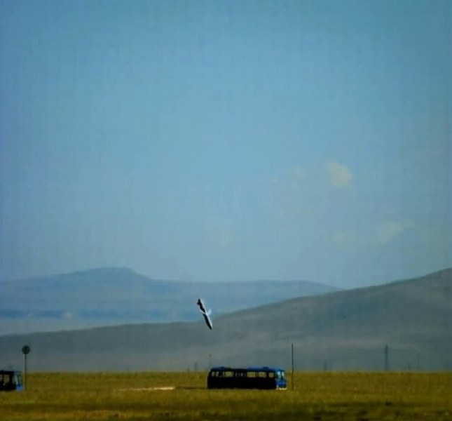 Zeytin Dalı Harekatı'nda kullanılan yerli silahlar A24