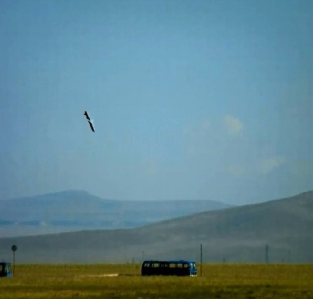 Zeytin Dalı Harekatı'nda kullanılan yerli silahlar A24