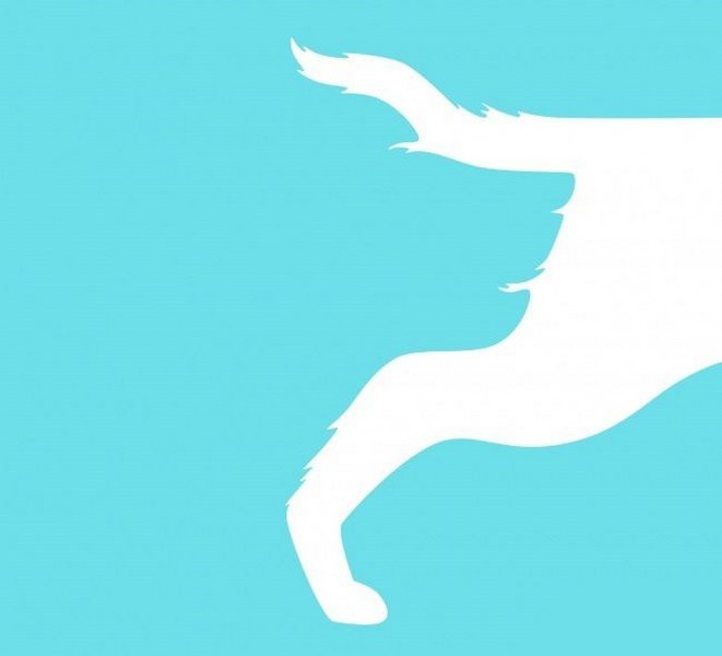 Bu resimde ilk bakışta ne görüyorsun? (Karakter analizi) A24