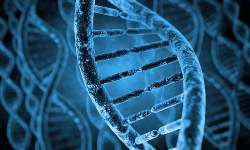 2018 yılında dünyamızı bekleyen 10 kabus senaryosu A24