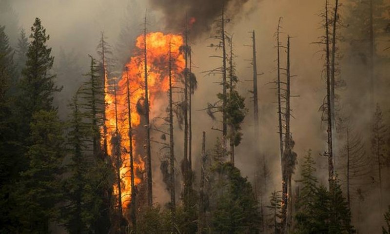 2018 yılında dünyamızı bekleyen 10 kabus senaryosu A24