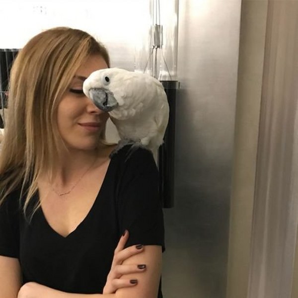 Nusret Gökçe Burak Özçivit'i tahtından indirmeyi başardı! A24