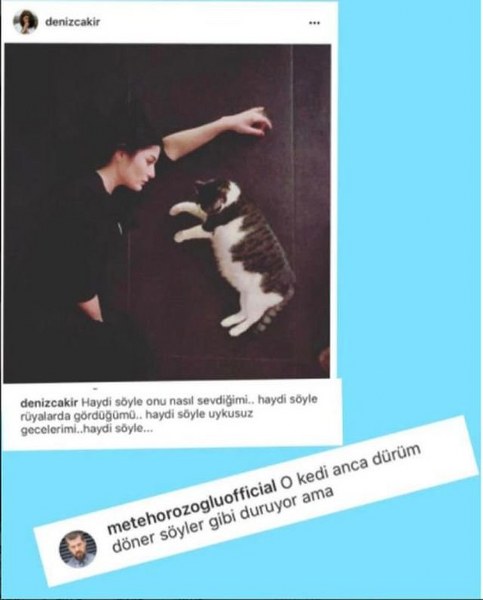 Demet Akalın'dan takipçisine argo yanıt! (Ünlüler de ayar verir) A24