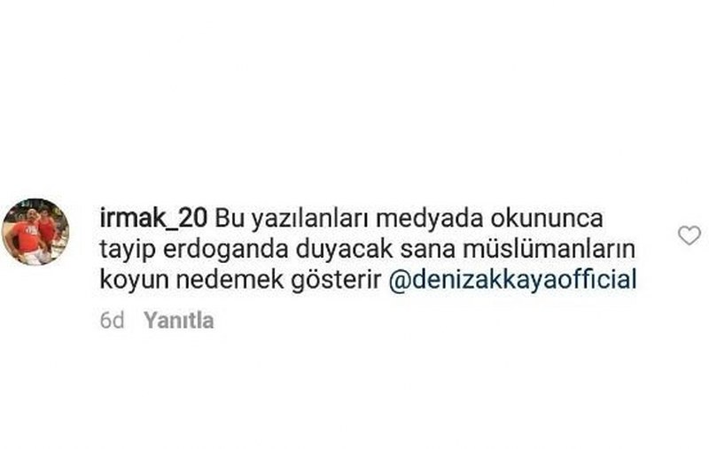 Demet Akalın'dan takipçisine argo yanıt! (Ünlüler de ayar verir) A24