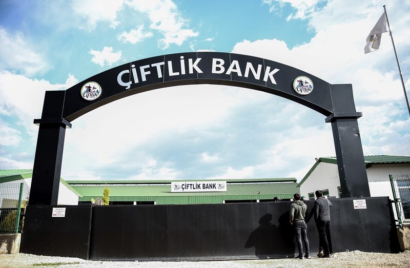 Adım adım gelen Çiftlik Bank dolandırıcılığı A24