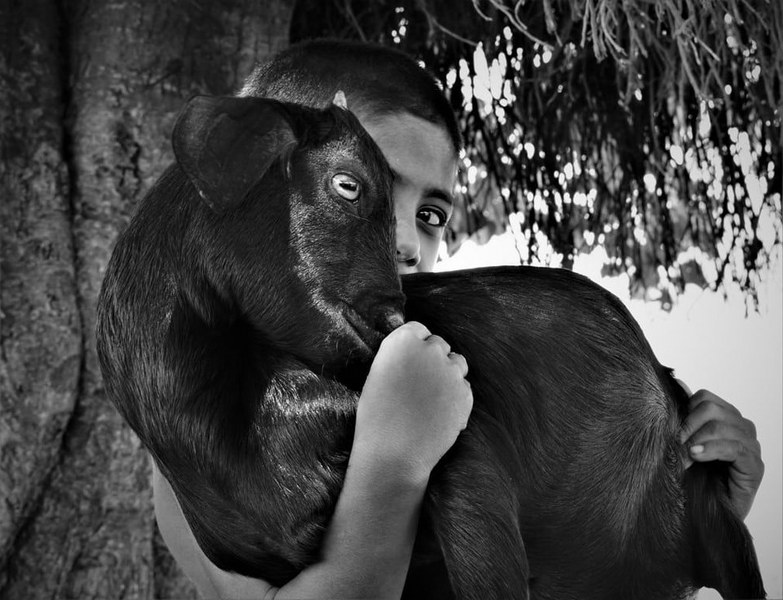 2018 Sony Dünya Fotoğraf Yarışması’nın kazananları A24