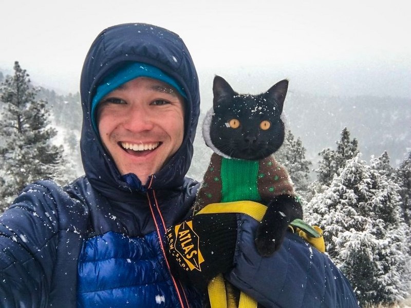 Maceracı kedi Simon yeni internet fenomeni olmayı başardı A24