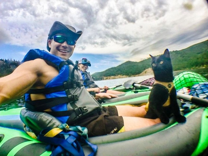 Maceracı kedi Simon yeni internet fenomeni olmayı başardı A24