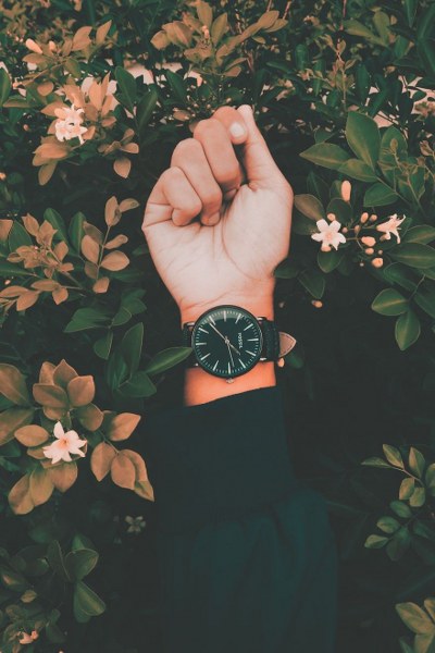 Rüyaların gerçeklik kazandığı fotoğraflar A24