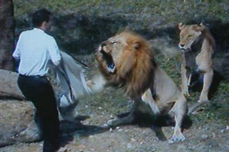 Vahşi doğanın en vahşi anları A24