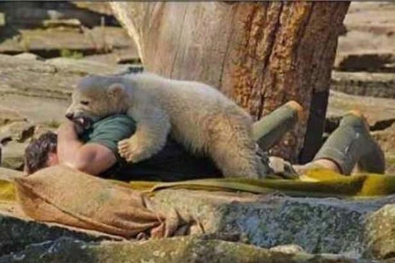 Vahşi doğanın en vahşi anları A24