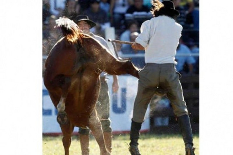 Vahşi doğanın en vahşi anları A24