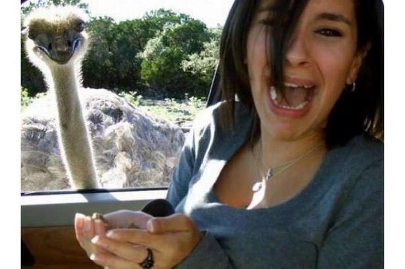 Vahşi doğanın en vahşi anları A24