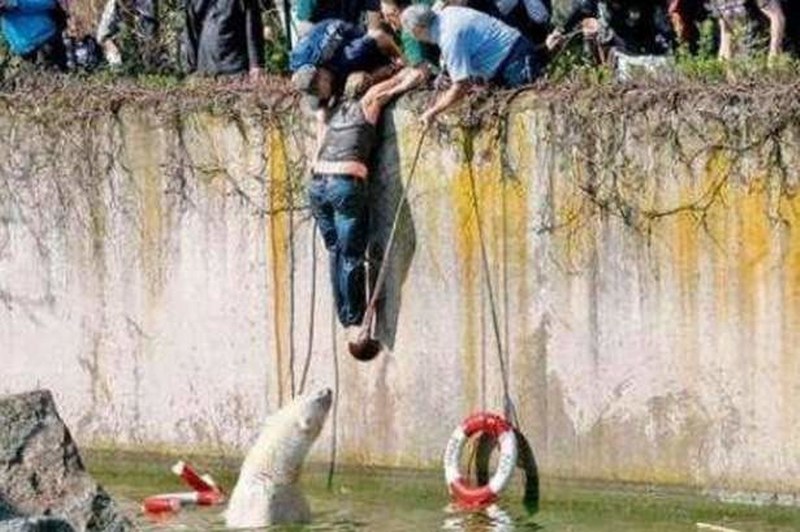 Vahşi doğanın en vahşi anları A24