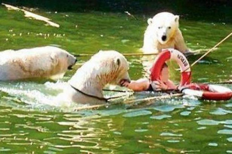 Vahşi doğanın en vahşi anları A24