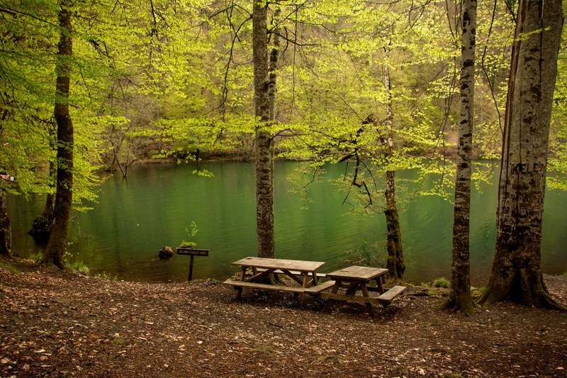 İlkbahar yaklaşırken görmeden ölmemeniz gereken en iyi 15 nokta (ilkbahar gezi rehberi) A24