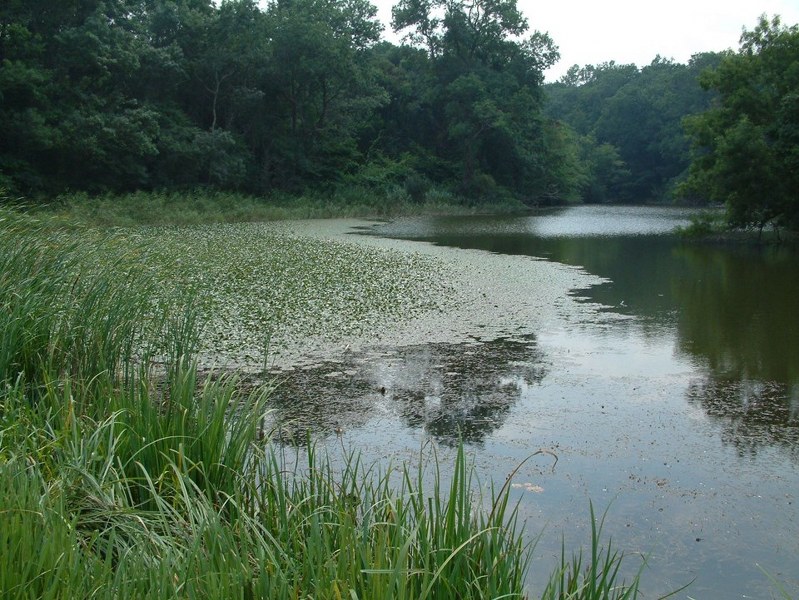 İlkbahar yaklaşırken görmeden ölmemeniz gereken en iyi 15 nokta (ilkbahar gezi rehberi) A24