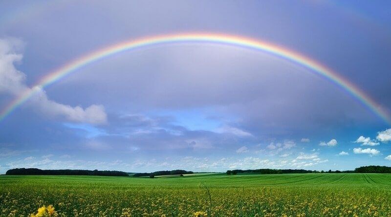Hangi renk daha çok ilginizi çekti? (Zihin yaşını ortaya çıkaran renk testi) A24