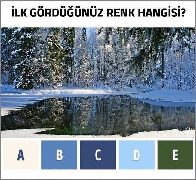 Hangi renk daha çok ilginizi çekti? (Zihin yaşını ortaya çıkaran renk testi) A24
