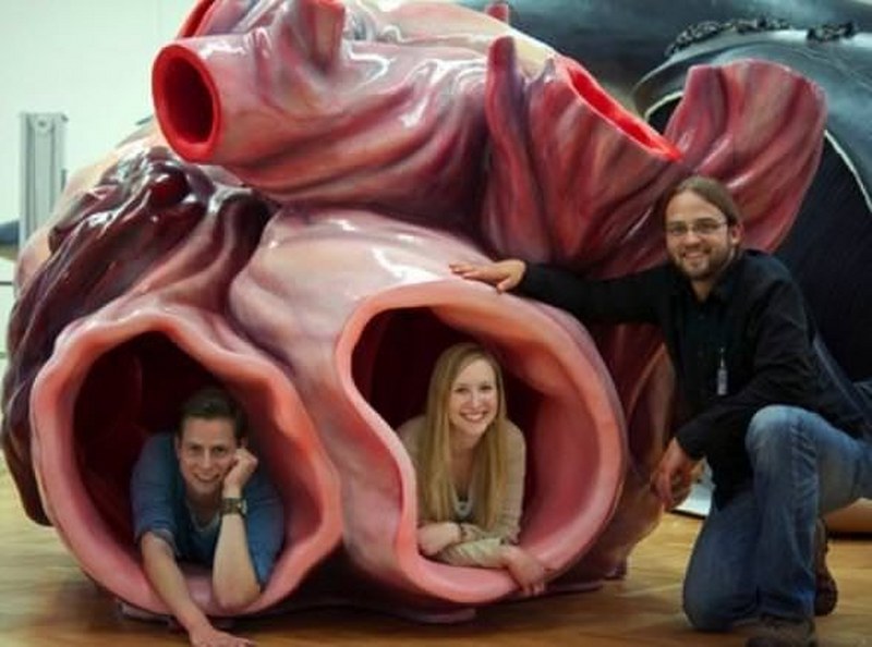 Az kişinin bildiği 24 bilimsel gerçek A24