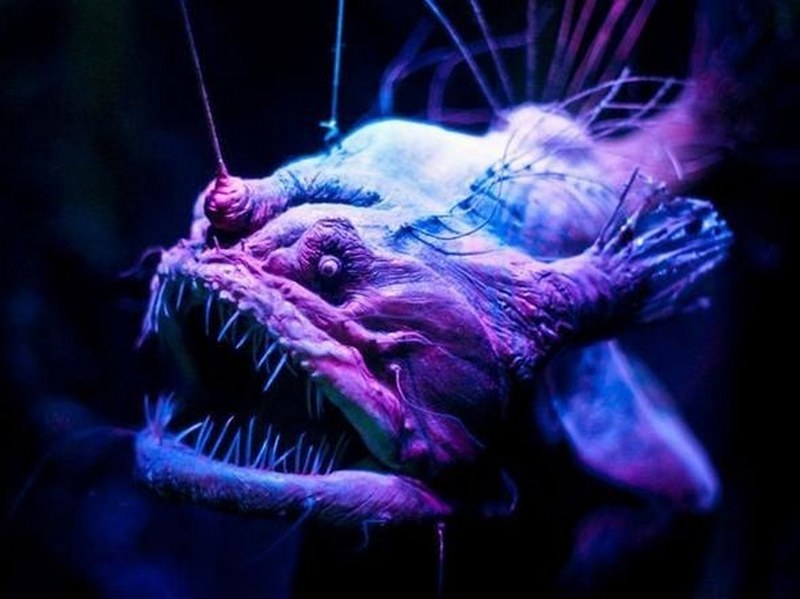 Az kişinin bildiği 24 bilimsel gerçek A24