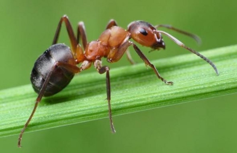 Az kişinin bildiği 24 bilimsel gerçek A24