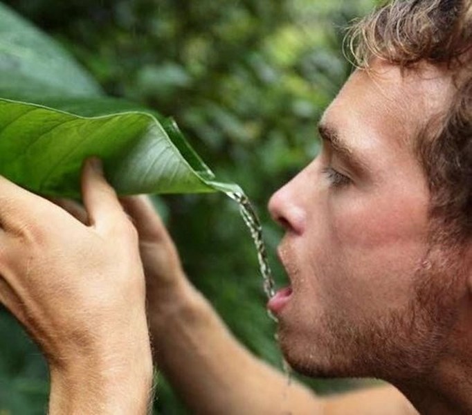 Az kişinin bildiği 24 bilimsel gerçek A24