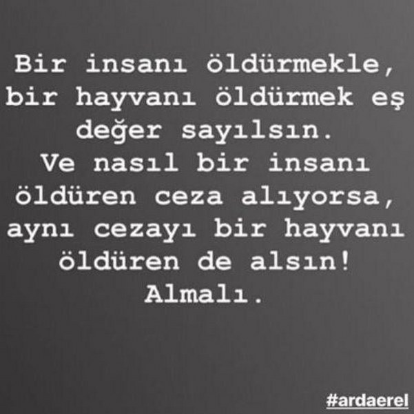 Sakarya'da yavru köpeğe yapılanlara isyan ettiler (Ünlülerden tepkiler) A24