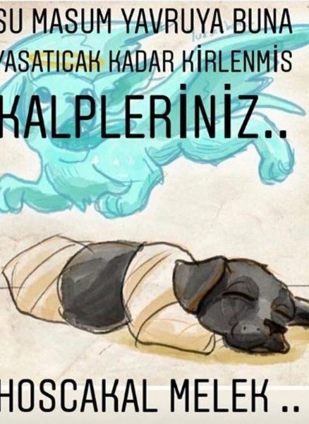 Sakarya'da yavru köpeğe yapılanlara isyan ettiler (Ünlülerden tepkiler) A24