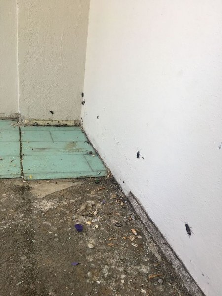 Esra Erol dar gelirli aileye yeni ev yaptırdı A24