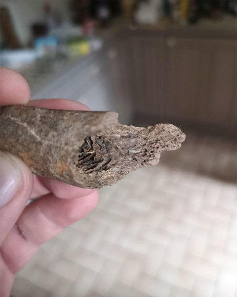 Arka bahçesindeki esrarengiz delikten şüphelendi! Kazdıktan sonra gördüğüne inanamadı A24