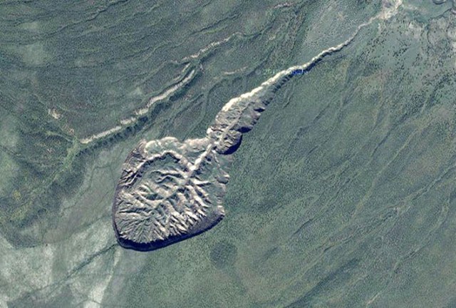 40 bin yıllık fosil bulundu A24